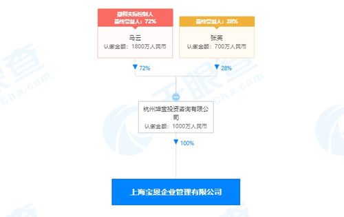 马云旗下公司全资收购宝恩企业管理咨询，深化商业版图布局
