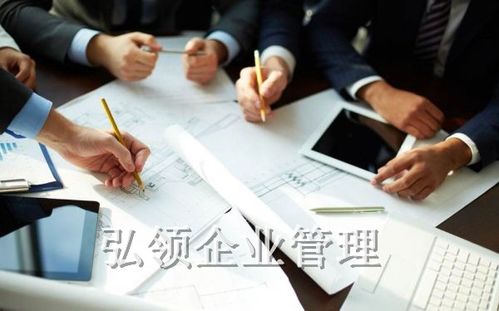 安徽弘领企业管理咨询 赋能企业成长的智慧伙伴
